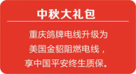重慶家裝公司